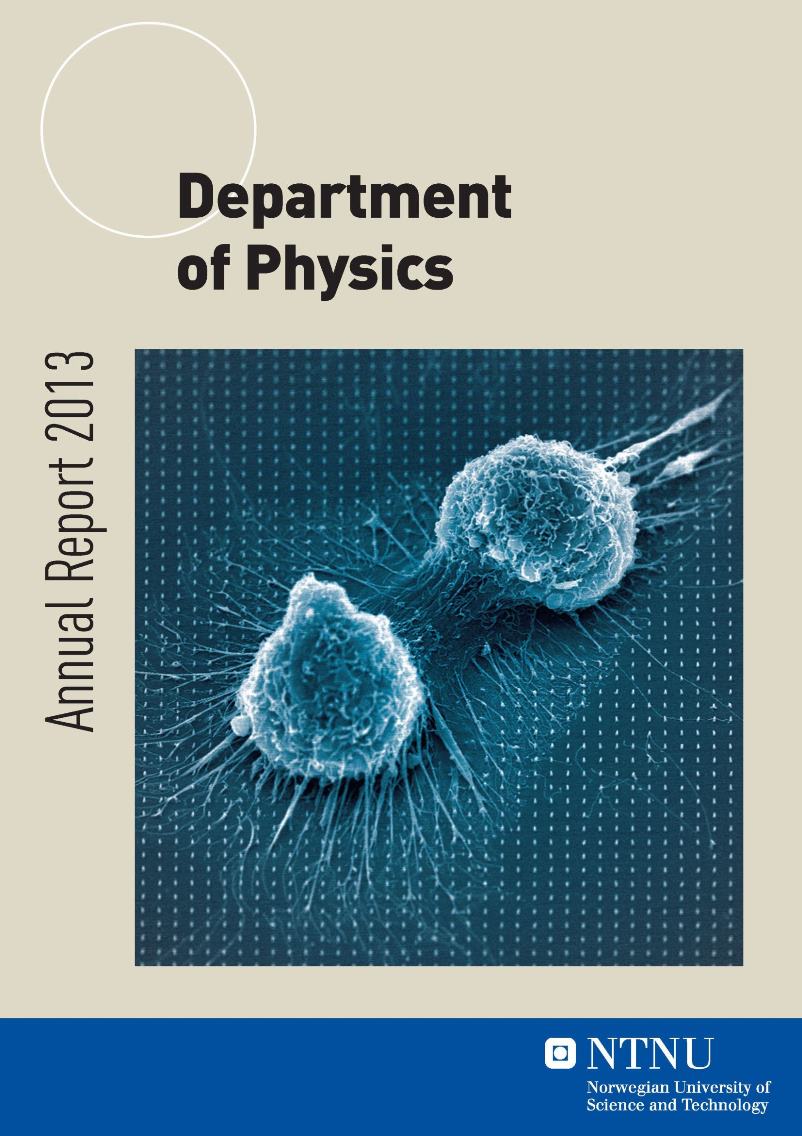 Department of Physics, Annual report 2013 [pdf]