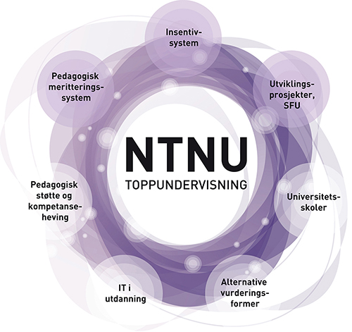 NTNU Toppundervisning, modell