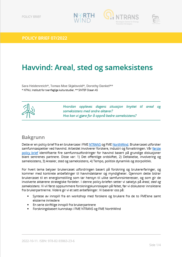 Policy Brief 7 from 2022: Havvind: Areal, sted og sameksistens