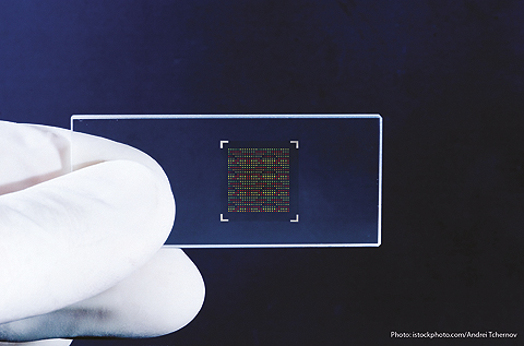 Bilde av DNA chip brukt til genotyping. Foto.