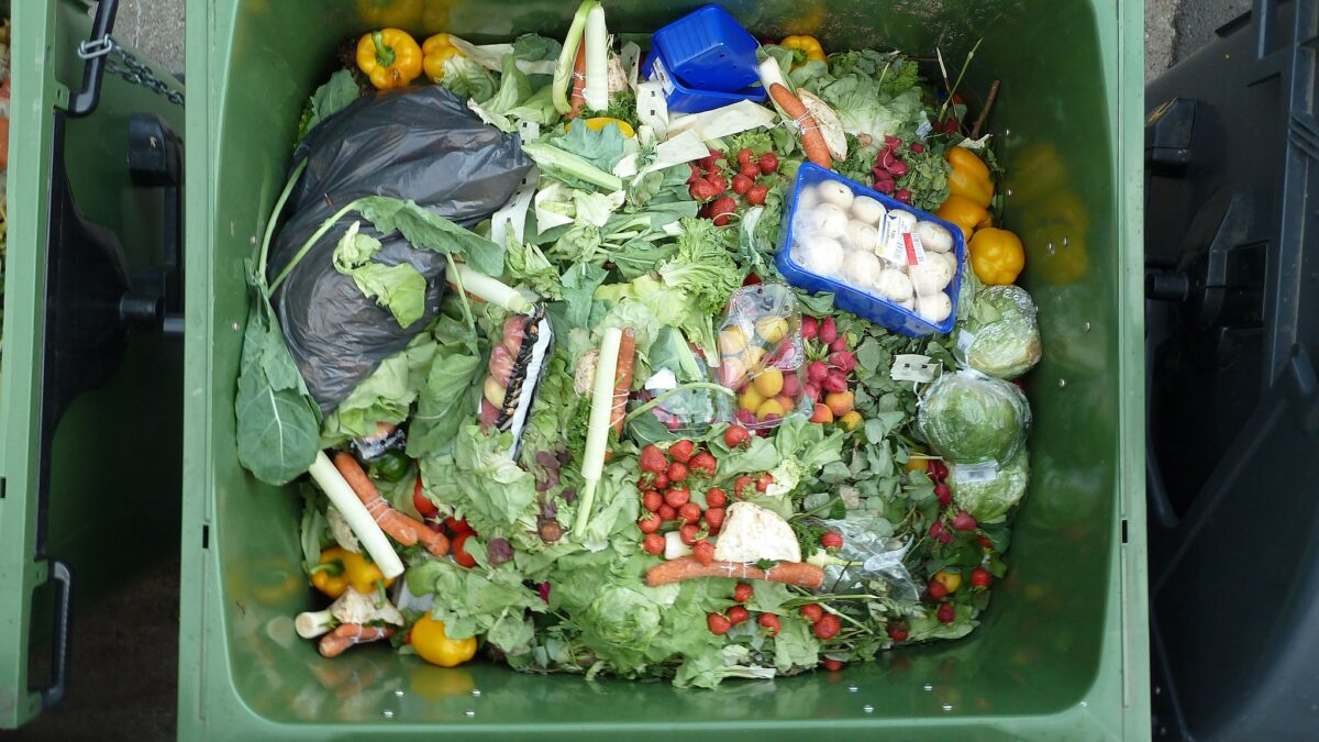 Food thrown in garbage