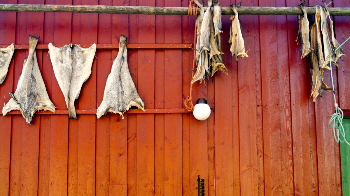 Dried fish hanging on a wall.