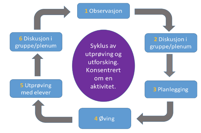 Figur som visualiserer syklusen som er beskrevet i punktlisten under bildet. Illustrasjon