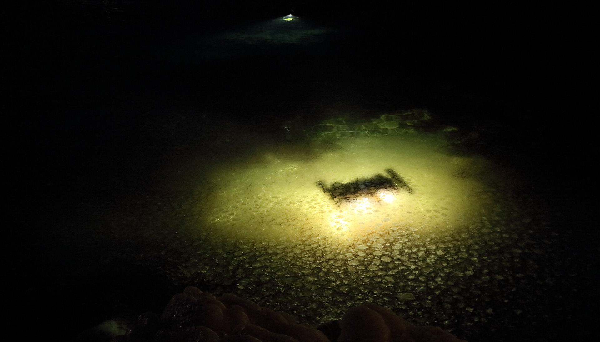 Two Blue eye ROV in the dark water. Photo