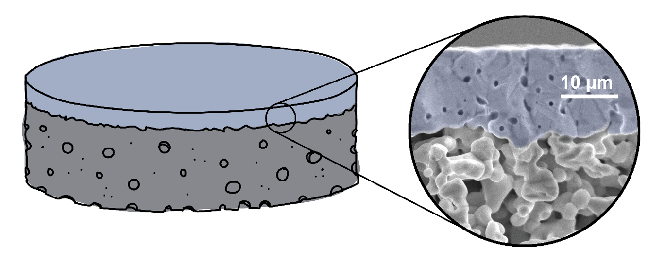 Visning av membranen gjennom et elektronmikroskop. Illustrasjon