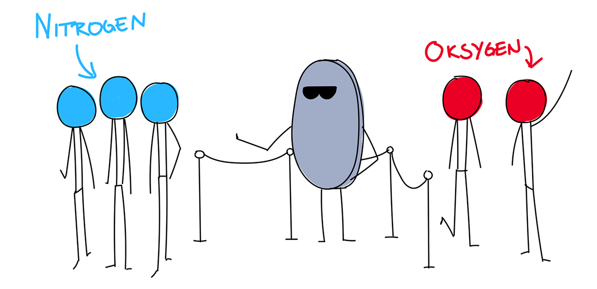 Illustrasjon av oksygenmembran mellom nitrogen og oksygen. Foto