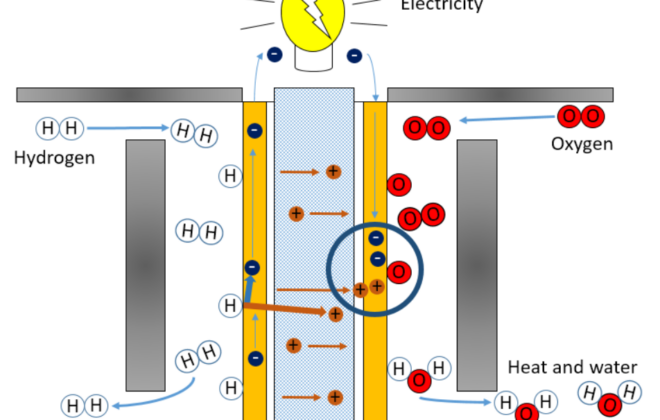 Schematic representation of a PEM fuel cell