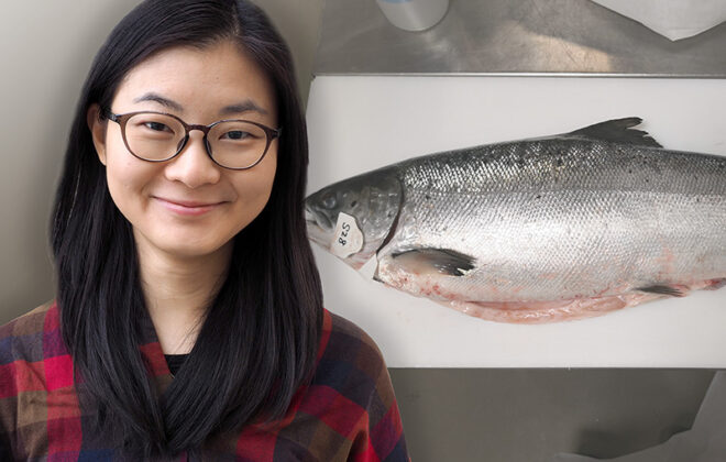 Collage with researcher and salmon. Photo