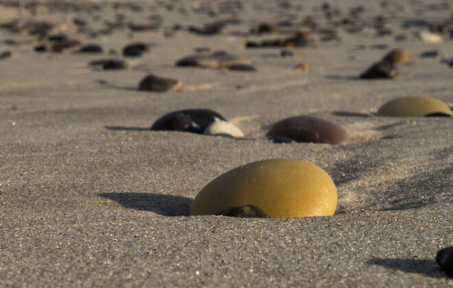 Runde steiner i sanden. foto