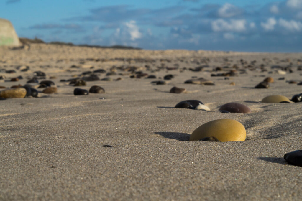 Runde steiner i sanden. foto