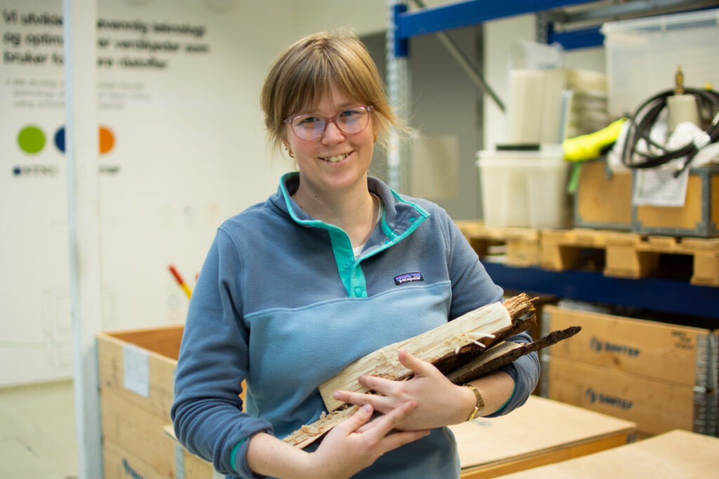 researcher who carries wood in her arms. photo