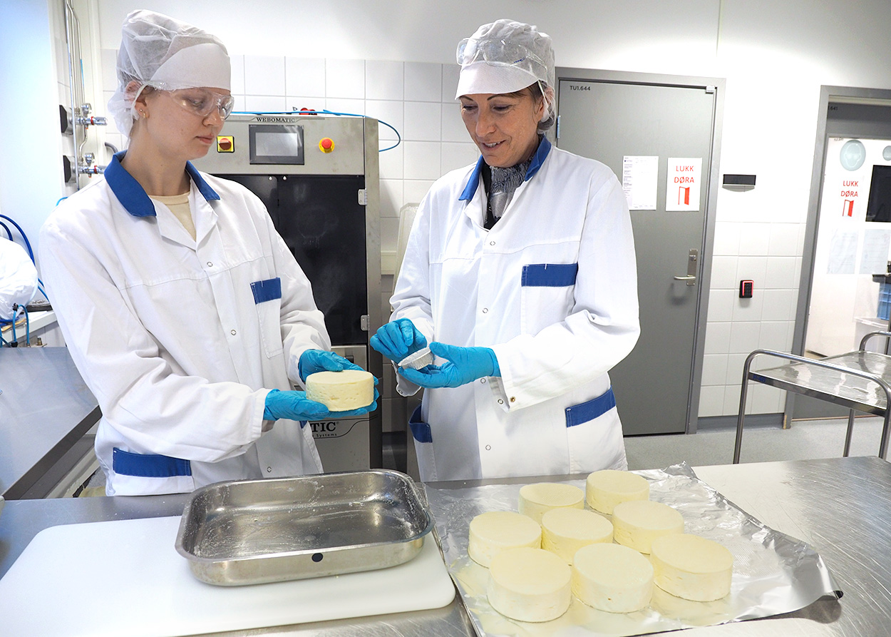 Student med lærer på en lab med oster. Foto