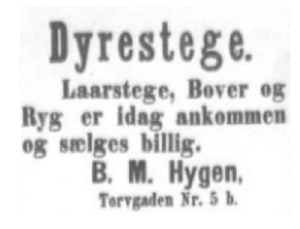 (Bildet er hentet fra nasjonalbibliotekets arkiv. Aftenposten desember 1895) 