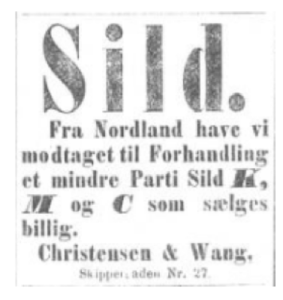 (Bildet er hentet fra nasjonalbibliotekets arkiv. Aftenposten desember 1875) 