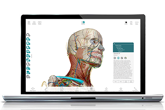 Screenshot of Human Anatomy Atlas Visible Body 