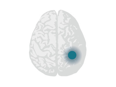 Hjerne fra Nor-COAST-logo