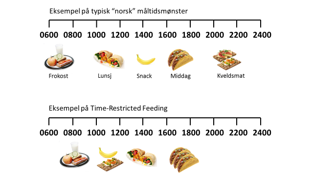 Diagram som viser måltider inntatt på to forskjellige tidslinjer. Den ene strekker seg fra kl.6 til kl.22. Den andre fra kl.8 til kl.18.