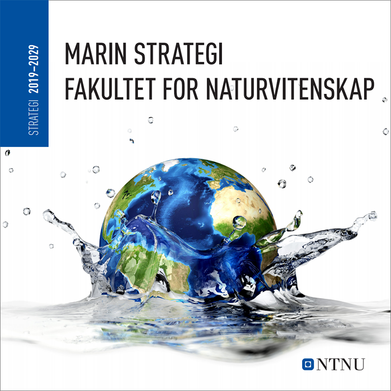 Fremside Marin strategi ved Fakultet for naturvitenskap 2019-2029