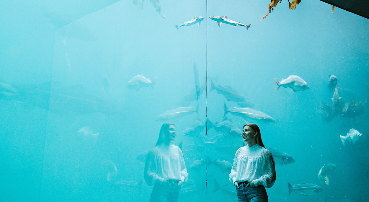 Student som ser på fisk i et stort akvarium. Foto