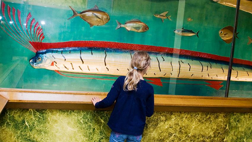 Jente ser på stort maleri av fisk