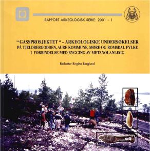 Rapport arkeologisk serie NTNU Vitenskapsmuseet