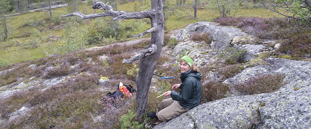 Lab technicians in the field, collecting samples from a tree.