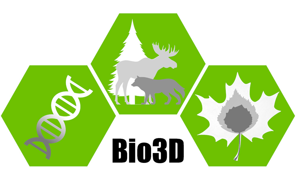 Bio3D logo