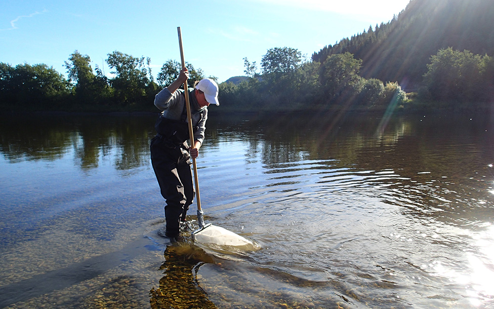 Learn more about the Freshwater research group