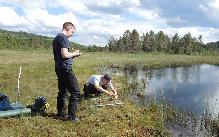 Learn more about the Bryology research group