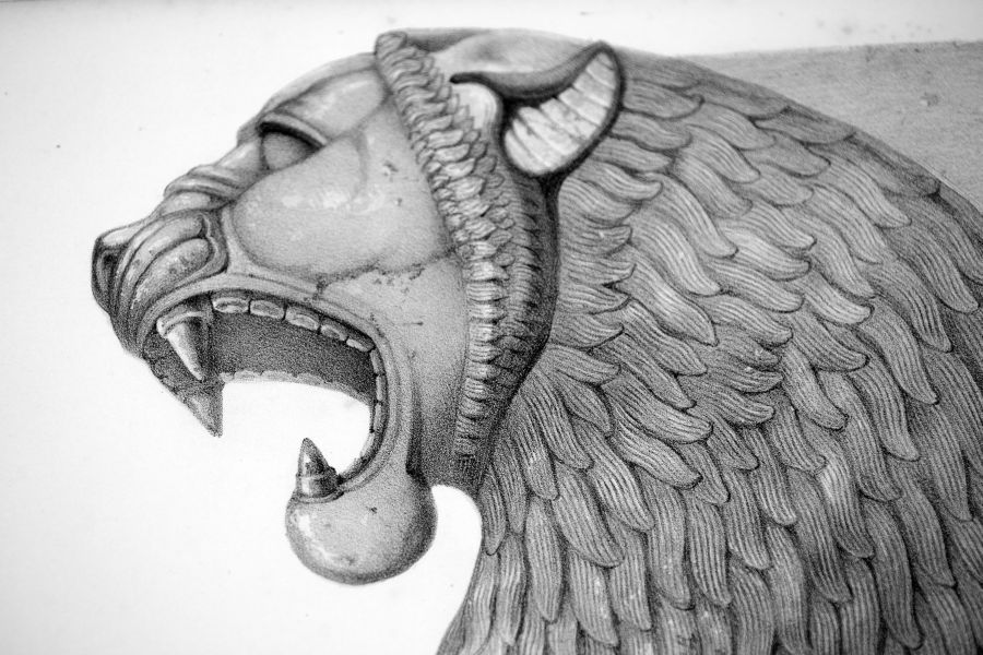 Hodet av løvekoloss fra Nimrud
