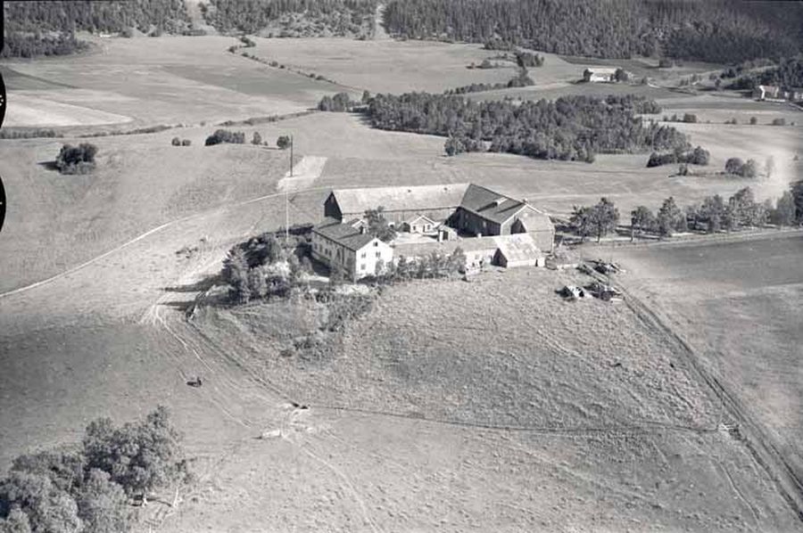 Flyfoto Dragvoll gård 1952