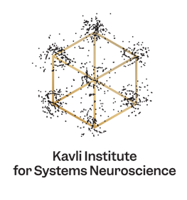 The Kavli Institute for Systems Neuroscience. Logo.