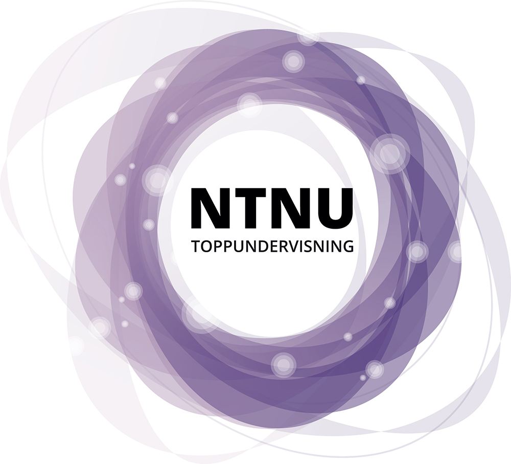 NTNU Toppundervisning, modell