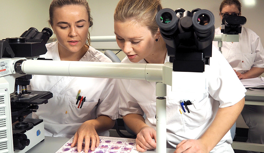 To studenter med mikroskop i laben. Foto