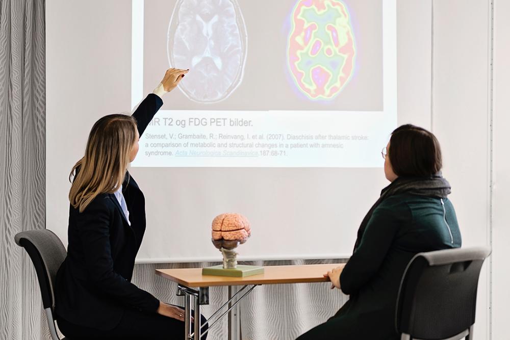 To kvinner studerer tverssnitt av to hjerner på ei tavle