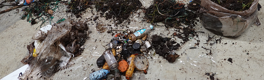 Sortert marint avfall. Foto