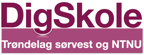 Logo DigSkole. png