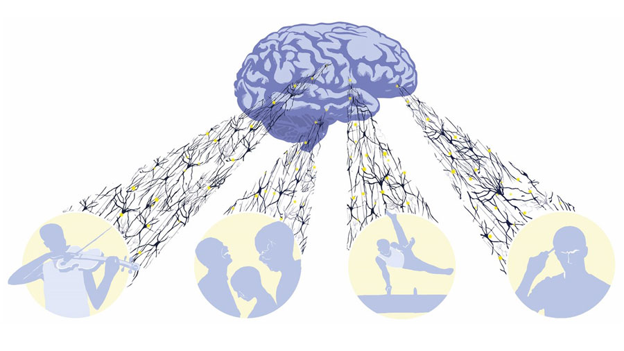 Illustrasjon av aktiviteter som er koblet til hjernen. Grafikk.