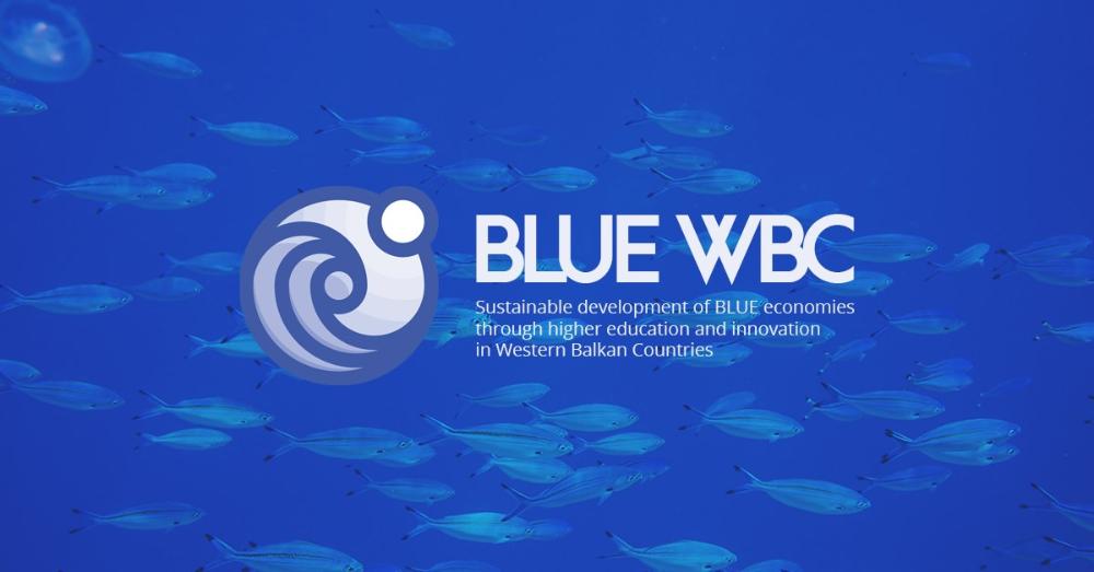 Logo Blue VBC