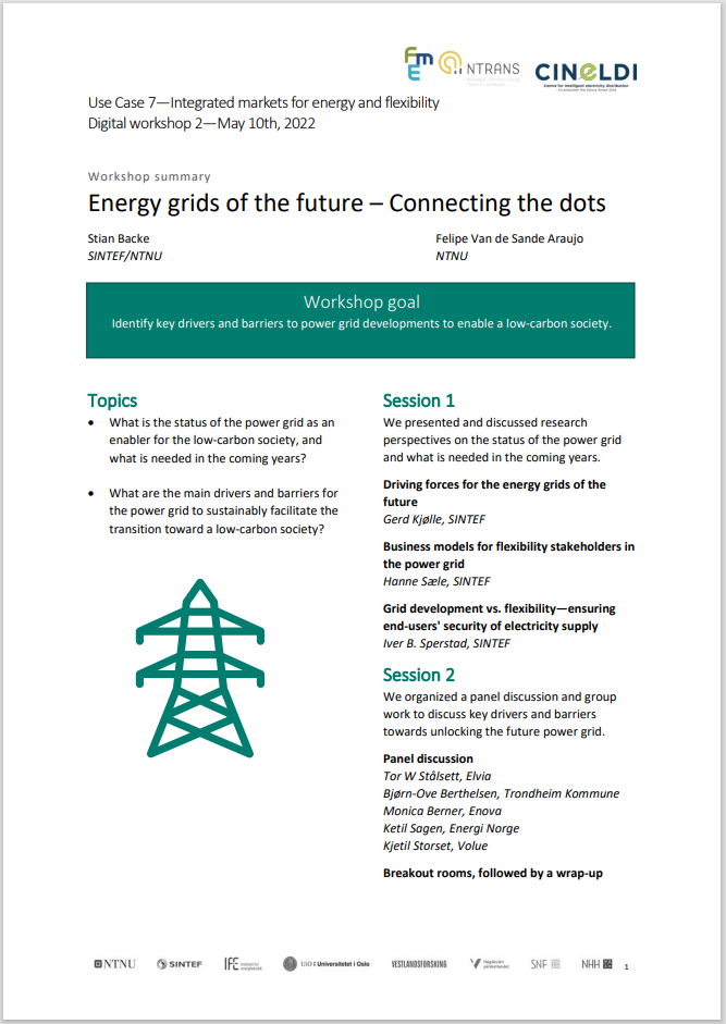 Til sammendrag fra workshop: Energy grids of the future