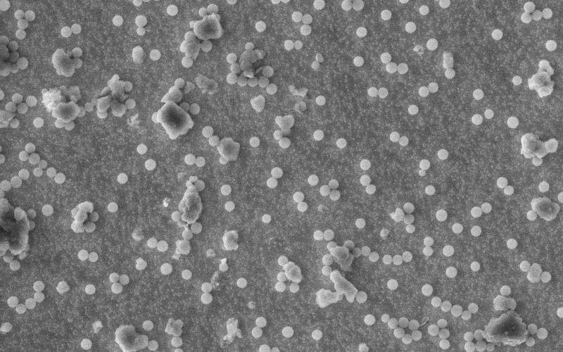 Bilde tatt gjennom et elektronmikroskop og som viser magnetiske nanopartikler