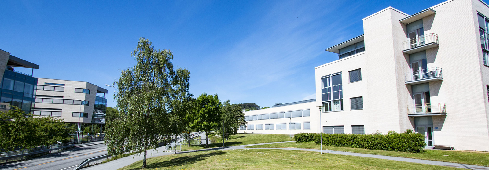   NTNU i Ålesund og NMK, kort vei fra utdanning til næringsliv. Norges mest næringsnære campus  Foto: Sissel Basso/NTNU