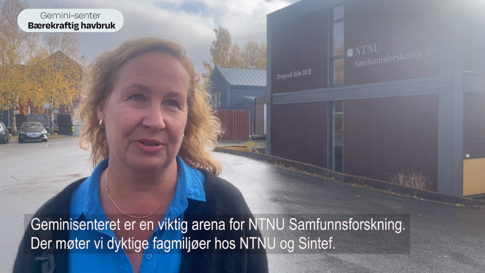 Bilde fra video med Tonje Osmundsen fra NTNU Samfunnsforskning.