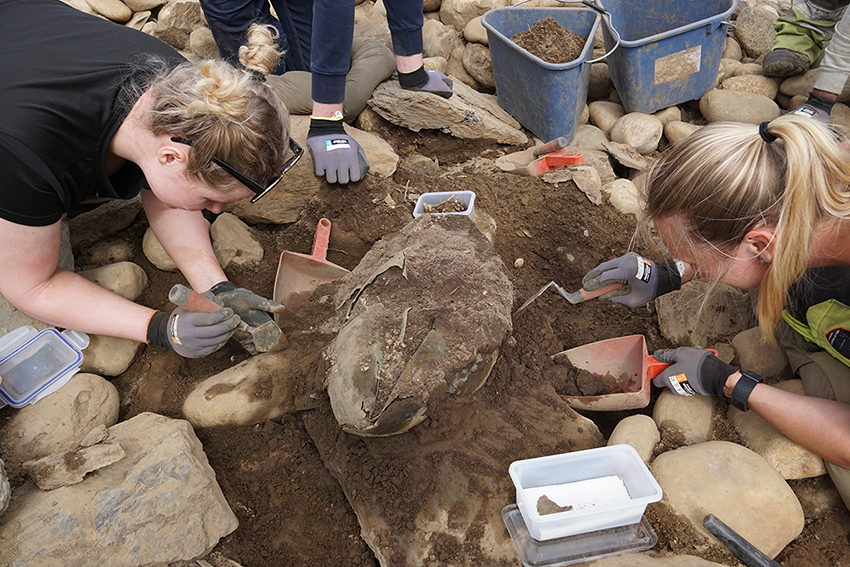 To studenter graver frem noe i jorden. Foto