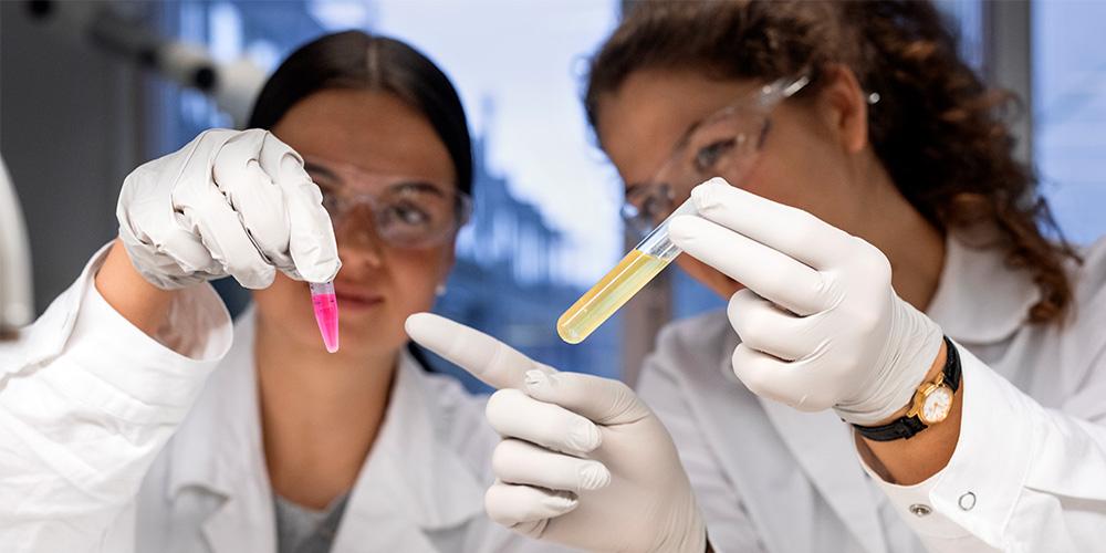 To biologi studenter på lab holder opp rosa og gult reagensrør med prøver. Foto