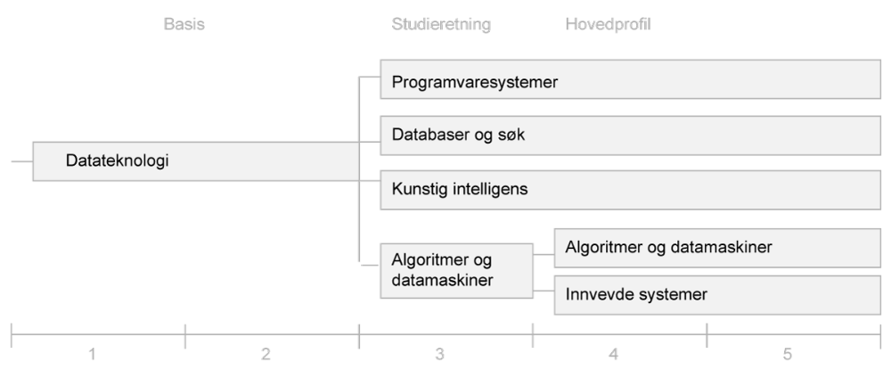illustrasjon: Studieretningen algoritmer og datamaskiner deles i to hovedprofiler: Algoritmer og datamaskiner og Innvevde systemer.