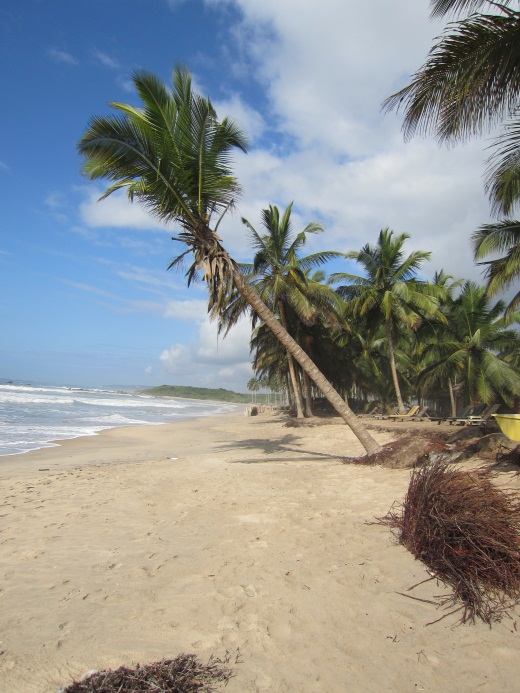 strand og palmer
