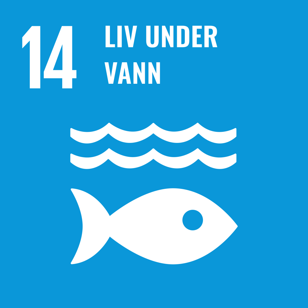 Ikon - FNs bærekraftmål - livet i havet. Lenke til bærekraftsmål nummer 14