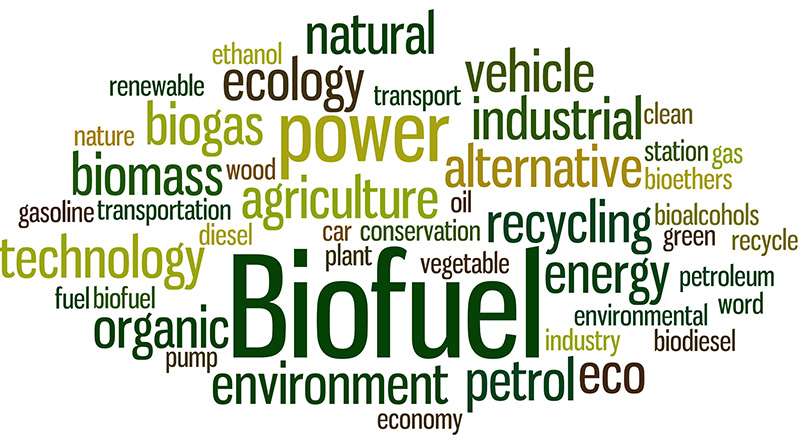 Biofuel ordsky. Illustrasjon
