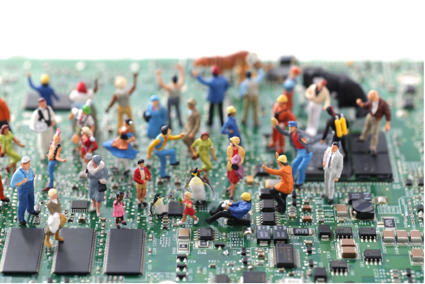 People walking on circuit boards. Photo.